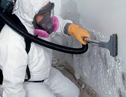 Best Basement Mold Removal  in Clarcona, FL